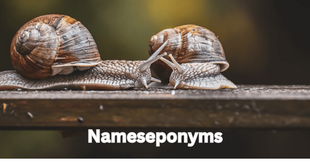 Snail names